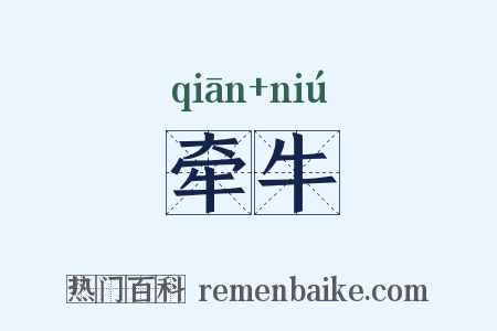 牵牛是什么意思的图片